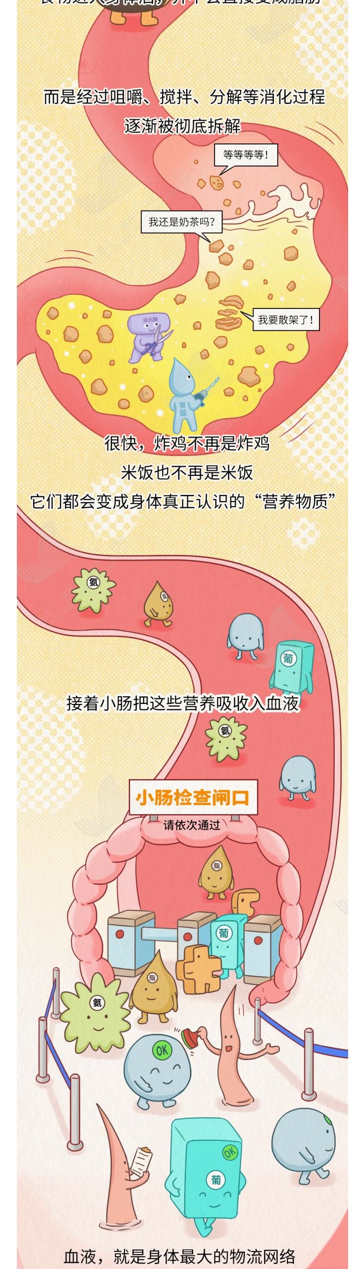 肉就是这样一点点长到你肚子上的！看完扎心了……_01_2_meitu.jpg