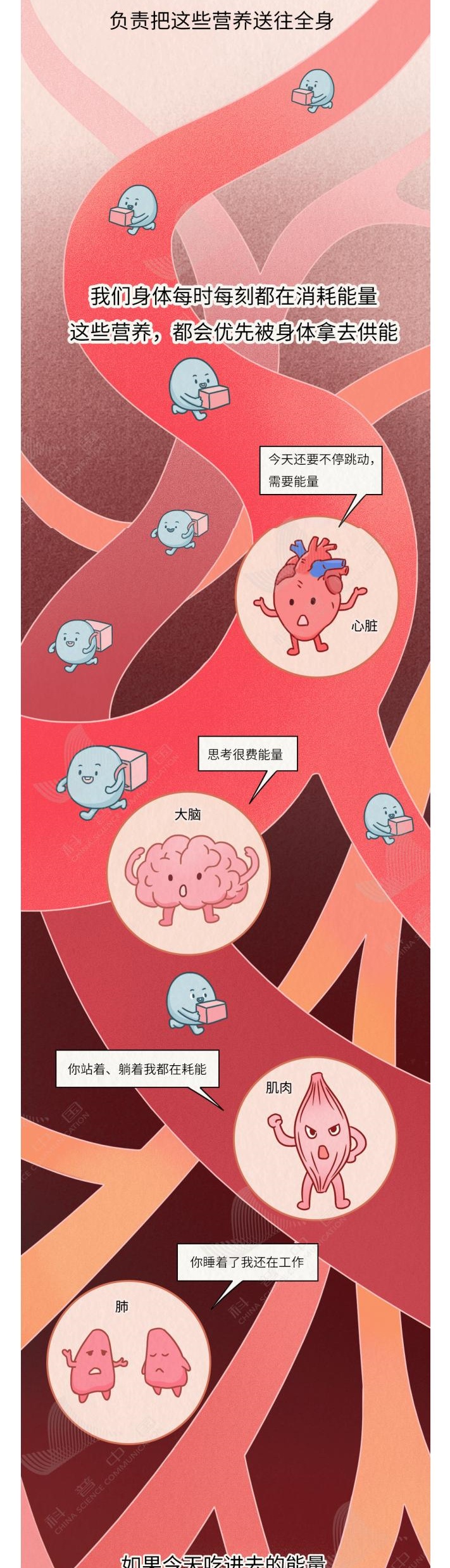 肉就是这样一点点长到你肚子上的！看完扎心了……_01_3_meitu.jpg