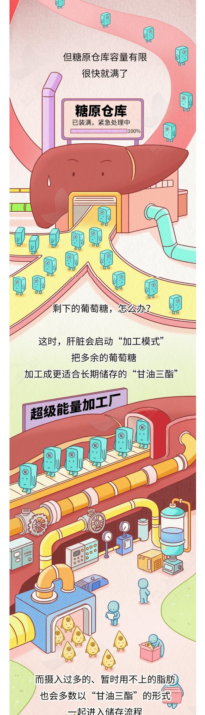 肉就是这样一点点长到你肚子上的！看完扎心了……_01_5_meitu.jpg