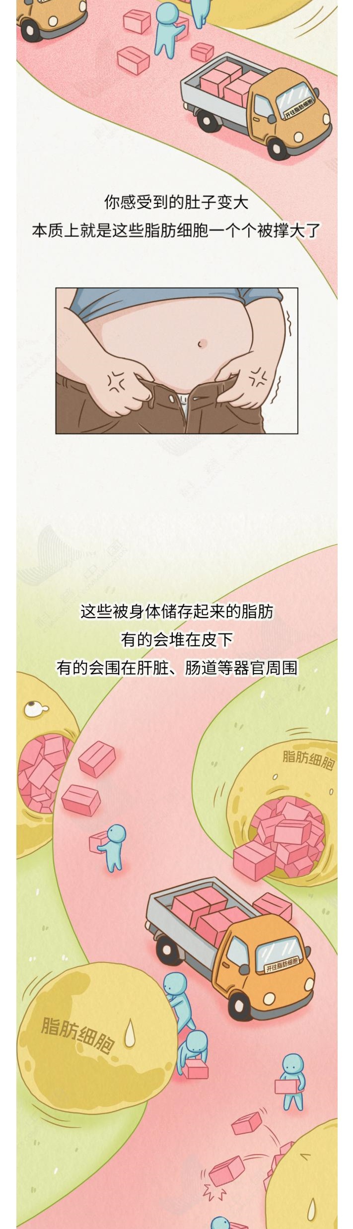 肉就是这样一点点长到你肚子上的！看完扎心了……_01_7_meitu.jpg